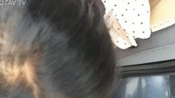 经典刺激！和女同学偏远土路玩车震,无毛B嫩的出水了