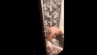 【极品稀缺大开眼界】真实偷拍邻居一对妙龄双胞胎姐妹花洗浴 角度完美 不知道是姐姐还是妹妹发育是真的好
