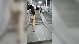 【新奇刺激视觉盛宴】女神露出靓丽的风景线 矝持端庄的秀丽女神 人群中俏皮的偷偷给你展现放荡的另一面 紧张刺激
