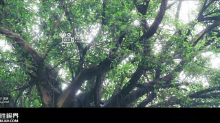 起点传媒 性视界传媒 XSJ161 当著段誉的面操翻王语嫣 赖畇希