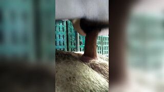 【推荐福利】养猪大亨猪圈无套猛操母猪,动物做爱牲口