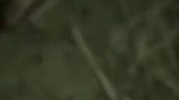 下夜班被色狼尾隨拖到草叢強姦
