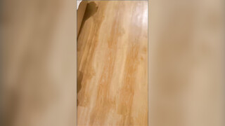 无影军师绝对调教鲜肉