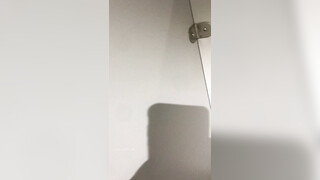 大神潜入商场女厕全景偷拍多位漂亮小姐姐的极品美鲍 (12)
