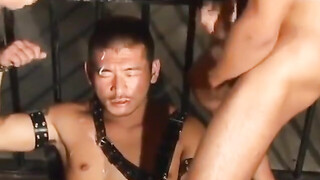 每日福利粉丝专享 监狱教官与犯人得爱情史『5-4』