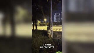 重磅无水福利，推特极限露出人气女神ACBL3377定制私拍，超市饭店公园各种人前露出野战，露出界天花板太顶了 (3)