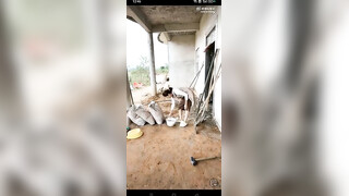 这玩法也太劲爆了