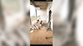 这玩法也太劲爆了