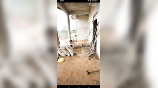 这玩法也太劲爆了