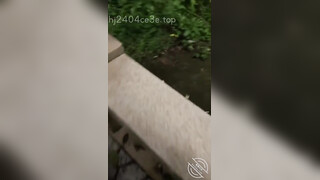 【极品母子通奸】妈妈的丰乳肥臀 给老妈安排开档瑜伽裤 户外人前玩露出 太刺激了上山打野炮 后入被榨内射