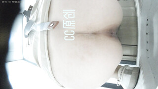 十月新流出魔手外购手持厕拍大神CC潜入办公大楼女厕偷拍白领尿尿黑裙美女轻轻的擦逼
