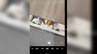 【网红厕拍】直播基地补光厕拍美女主播尿尿 小姐姐阴毛不少，但是别看外面黑，里面很粉