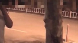 唯美MV风格露出达人萍萍系列第4部 开档丝袜无下装夜行大马路