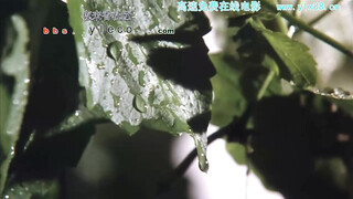 【香港三级】新金瓶梅1：筷子的故事