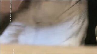 【小宝寻花】一晚上叫四个外围，遇到一个超机警的美女要浴室干，第四个成功开播，全程（某房版）
