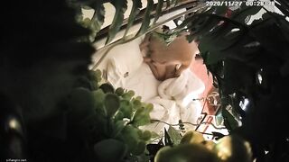 【极品360】绿叶主题精选] ❤ 年轻情侣开房肆意放纵  骚气破浪的妹妹饥渴主动 被窝里舔屌真刺激 高清720P版