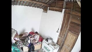 黑客破解网络摄像头监控偷拍村里小卖部老板娘表面卖东西暗地里卖逼貌似生意还不错大爷一个接一个上门