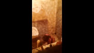 城中村偷窥美少妇洗香香